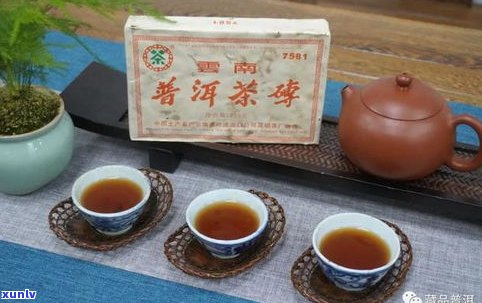 普洱茶老茶的魅力-普洱茶老茶的魅力是什么