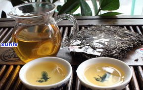 喝普洱茶配什么茶好？综合比较各类茶叶优缺点