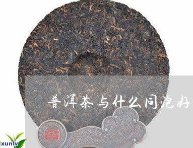 喝普洱茶配什么茶最好？最佳搭配推荐！