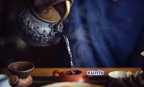 普洱茶功夫茶教程-普洱茶功夫茶教程视频