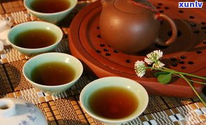 莓茶：普洱茶的一种吗？探讨其与普通茶的区别