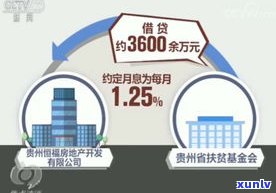 帮还负债：是不是为洗钱？涉及慈善机构、打工及还钱方法探讨