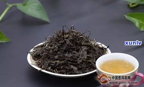 普洱茶分多少茶种-普洱茶分多少茶种类