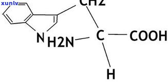 散结茶的成分及其作用解析