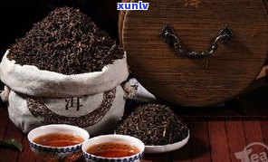 普洱茶和陕西茯茶-普洱茶和陕西茯茶哪个好