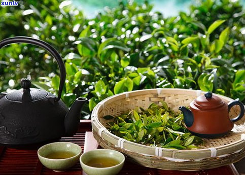 黑茶与普洱茶优劣-黑茶与普洱茶优劣对比