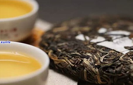 普洱茶：苦茶？甜茶？答案揭晓！