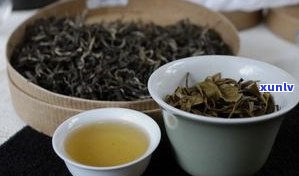 普洱茶是不是苦茶-普洱茶是不是苦茶类