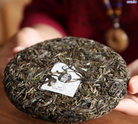 普洱茶：生茶与熟茶的区分与分类