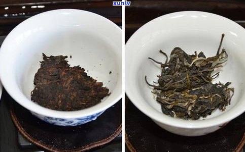 普洱茶：生茶与熟茶的区分与分类