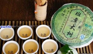 中茶普洱茶的特点-中茶普洱茶的特点是什么