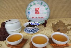 普洱茶广东又叫-普洱茶广东又叫什么名字