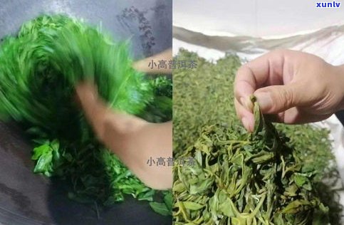 普洱茶炒茶视频教学大全：手工炒制步骤详解