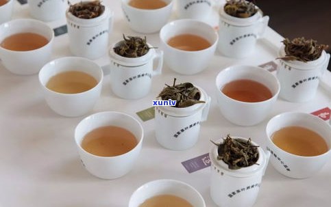 普渡茶是普洱茶吗-普渡茶是普洱茶吗