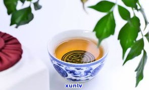 熟茶是普洱茶吗？了解它们之间的关系与区别