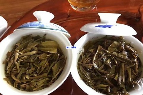 熟茶是普洱茶吗？了解它们之间的关系与区别