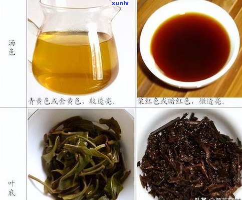 普洱茶收藏排名：揭秘十大品牌及第一佳品