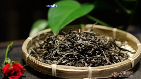 什么是蓝标普洱茶？区别于红标、普通普洱茶，蓝标有何独特之处？