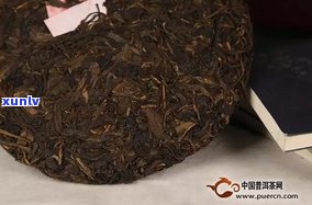 普洱茶熟料紧压茶：类型、功效与作用全解析