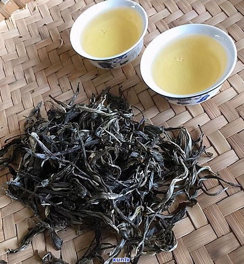 普洱茶紧压熟茶的正确冲泡方法与技巧