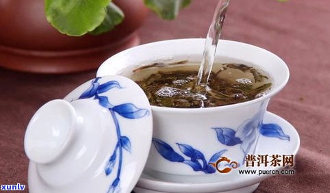 熟普洱茶投茶比例-熟普洱茶投茶比例是多少