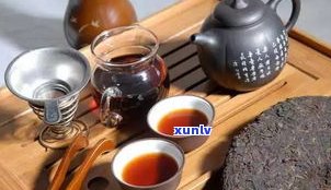 什么是柴茶普洱茶叶？柴烧与柴火茶有何区别？看图了解