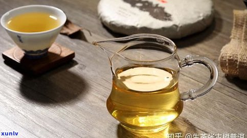 普洱茶古树茶底图大全：高清展示及特点解析