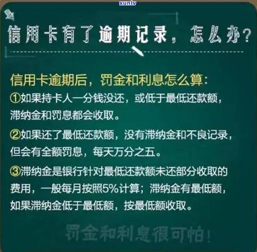 别的逾期会影响在用信用卡吗-别的逾期会影响在用信用卡吗知乎