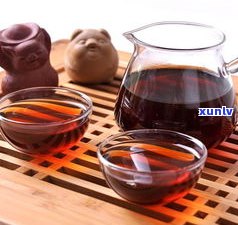 探究发酵普洱茶的茶菌种类、品种及特点，深入了解普洱茶发酵菌群