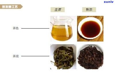 揭示普洱茶发酵过程中菌群的秘密：种类、特点及影响