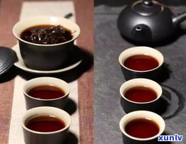 深度解析：黑茶与普洱茶煮茶的区别及其功效