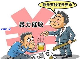 不还网贷是不是犯法？可能涉及刑事责任及结果解析