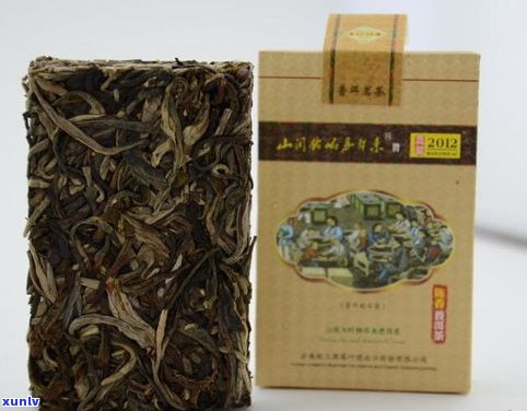 普洱茶开茶全程教程：方法、工具、保存及视频全解析