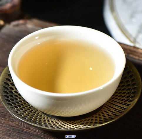 野普洱茶是什么茶-普洱野茶属于什么茶