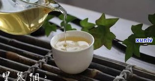 野普洱茶是什么茶-普洱野茶属于什么茶