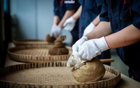 藏茶和普洱茶区别-藏茶和普洱茶区别在哪