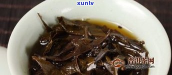 藏茶和普洱茶区别-藏茶和普洱茶区别在哪