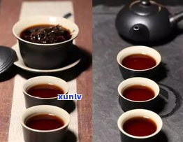 普洱茶与黑茶比较的区别：特点、口感及健康效益的全面解析