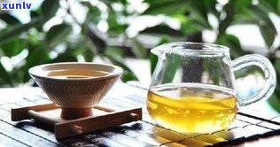 普洱茶散茶分几种类型及其特点