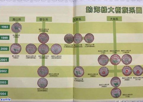 普洱茶散茶的级别划分：详细解析与种类介绍