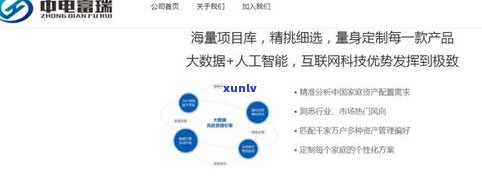 财富优化：全面提升您的优势财富和优选方案