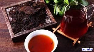 普洱散茶：揭示其种类、茶叶和归属，详解为何被誉为茶中之王