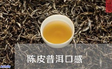 普洱茶散茶的口感-普洱茶散茶的口感特征