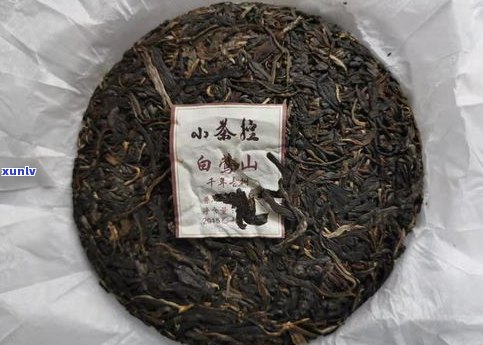 普洱茶用什么茶饼-普洱茶用什么茶饼最好