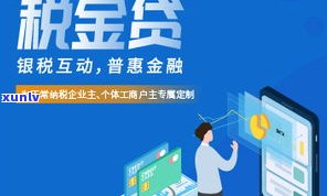 诚信云调解中心：催收服务是否真实、安全？