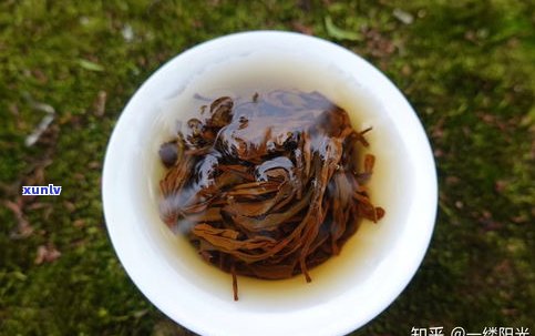 八马887普洱茶的故事：了解八马茶业887普洱，品尝优质八马普洱茶，包括熟茶与生茶的不同，以及357克包装的价格信息。