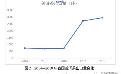 普洱茶投茶量比例：影响口感的关键因素与适宜的比例