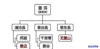 普洱茶投茶量比例：影响口感的关键因素与适宜的比例