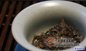 泡普洱茶投茶量：最合适的比例与技巧