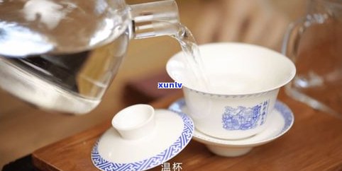 普洱茶正确投茶量-普洱茶正确投茶量是多少